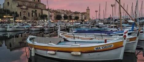 Marina