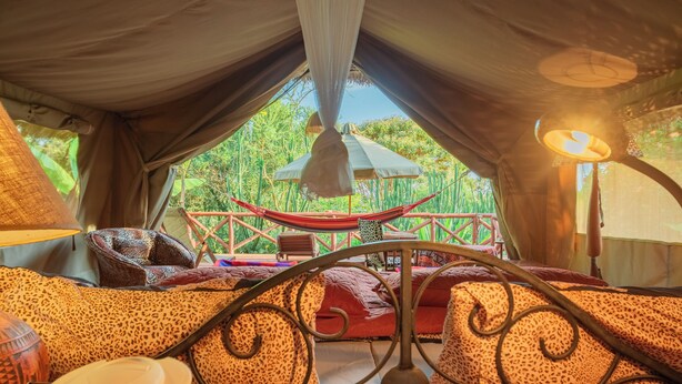 A tent with a hammock, leopard-print cushions, and a view of greenery. - Longonot Buffaloe's Rest Greenpark Naivasha (Naivasha)