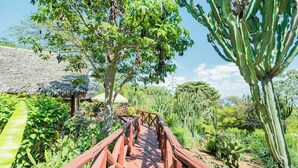 Un puente de madera en un jardín con cactus y una estructura de techo de paja.