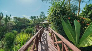 A wooden bridge in a lush garden with various plants and trees.