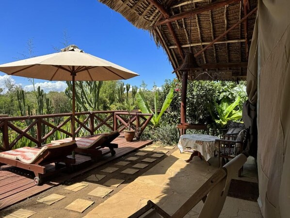 Property grounds - Olkaria . (Naivasha)