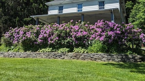 A two-story house with a gabled roof and a dormer window, surrounded by lush greenery and flowering bushes. - Large Farmhouse near Pocono attractions! Ping-pong and Pool tables included. (South Sterling)