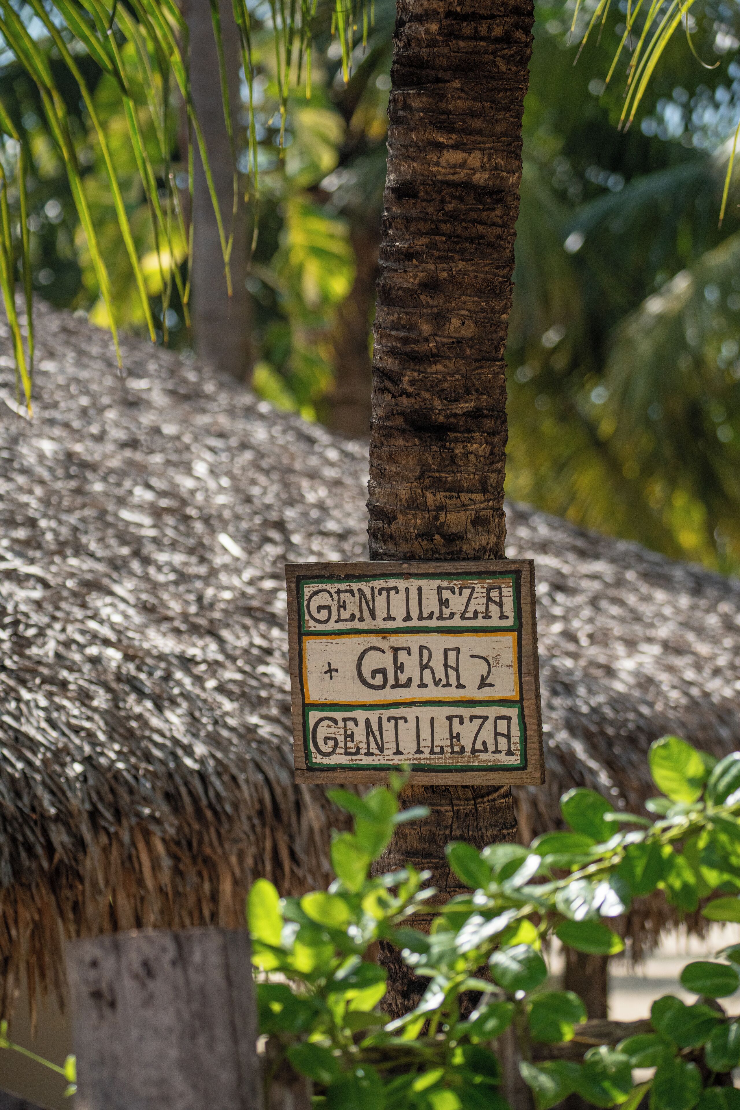 A wooden sign attached to a palm tree with the text "Gentileza + Gera2 Gentileza".