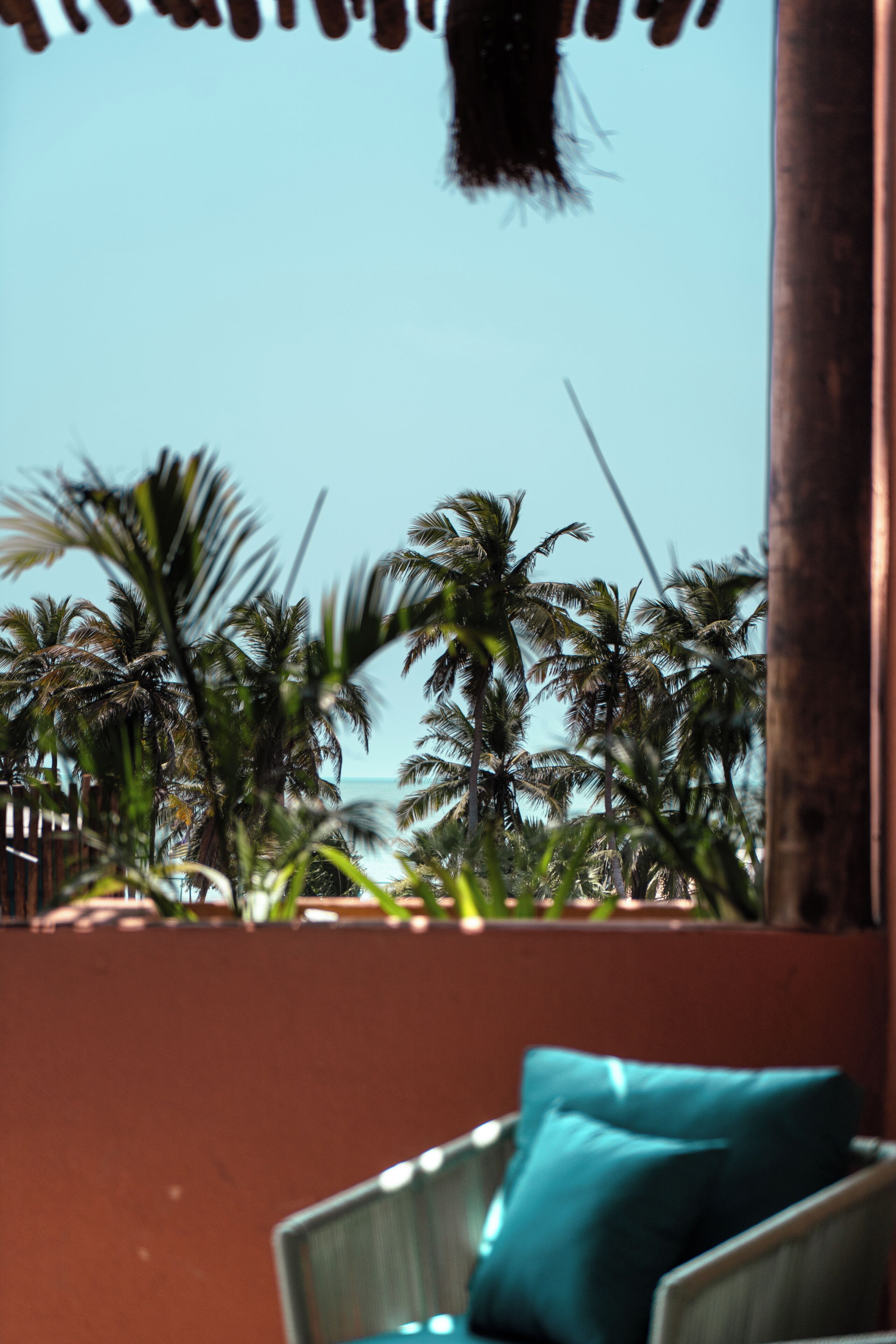 Vista de una playa con palmeras y una silla con cojín.