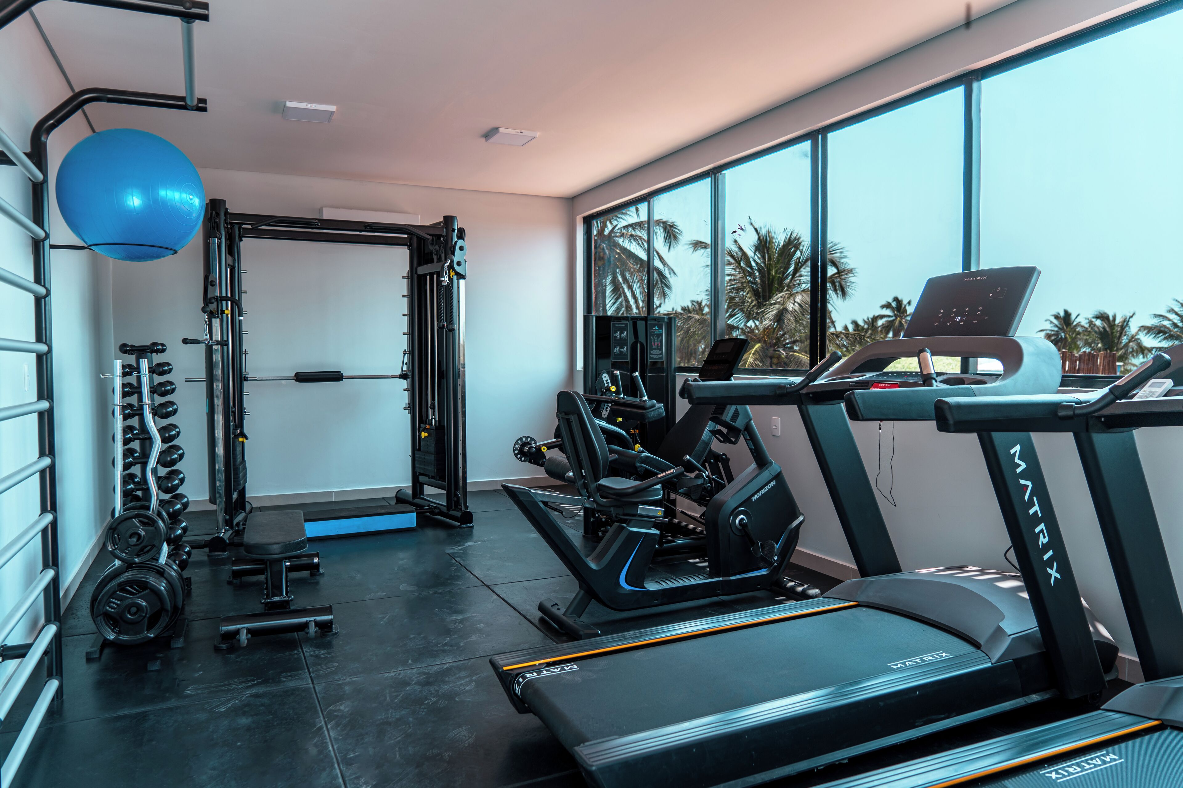 Un gimnasio moderno con cintas de correr, una máquina de remo y pesas libres.
