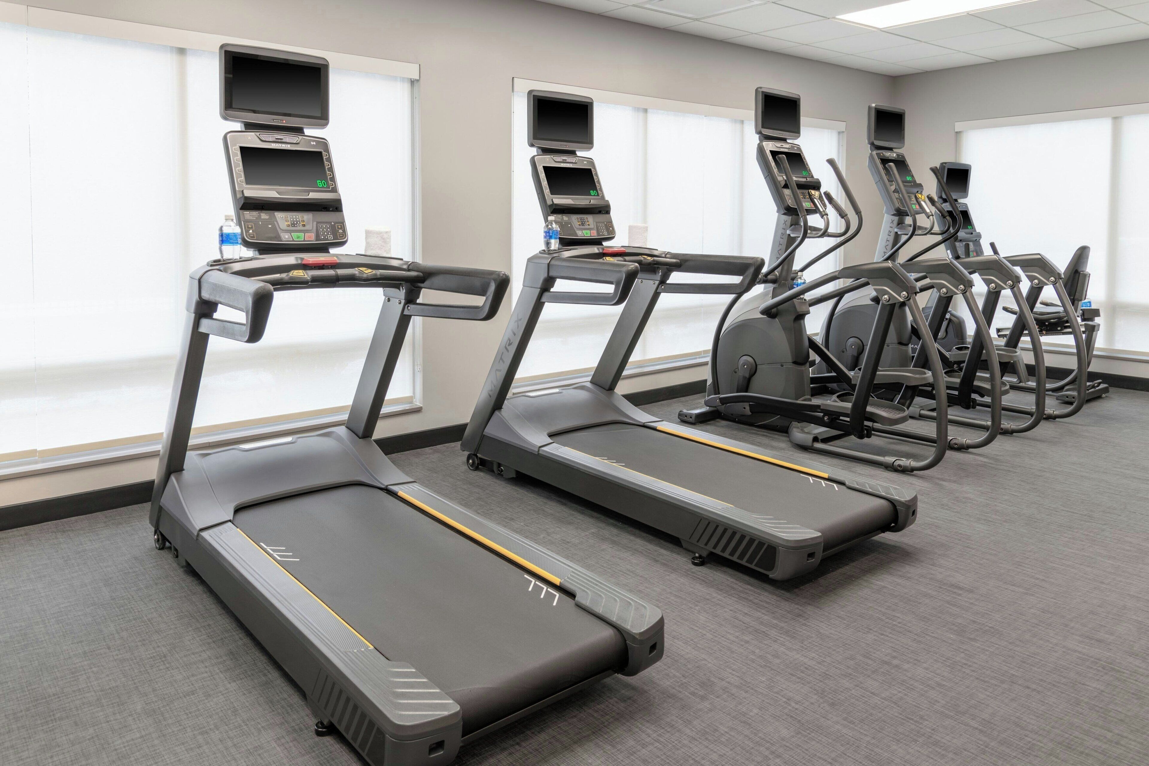A gym with treadmills and elliptical machines, large windows, and a carpeted floor.