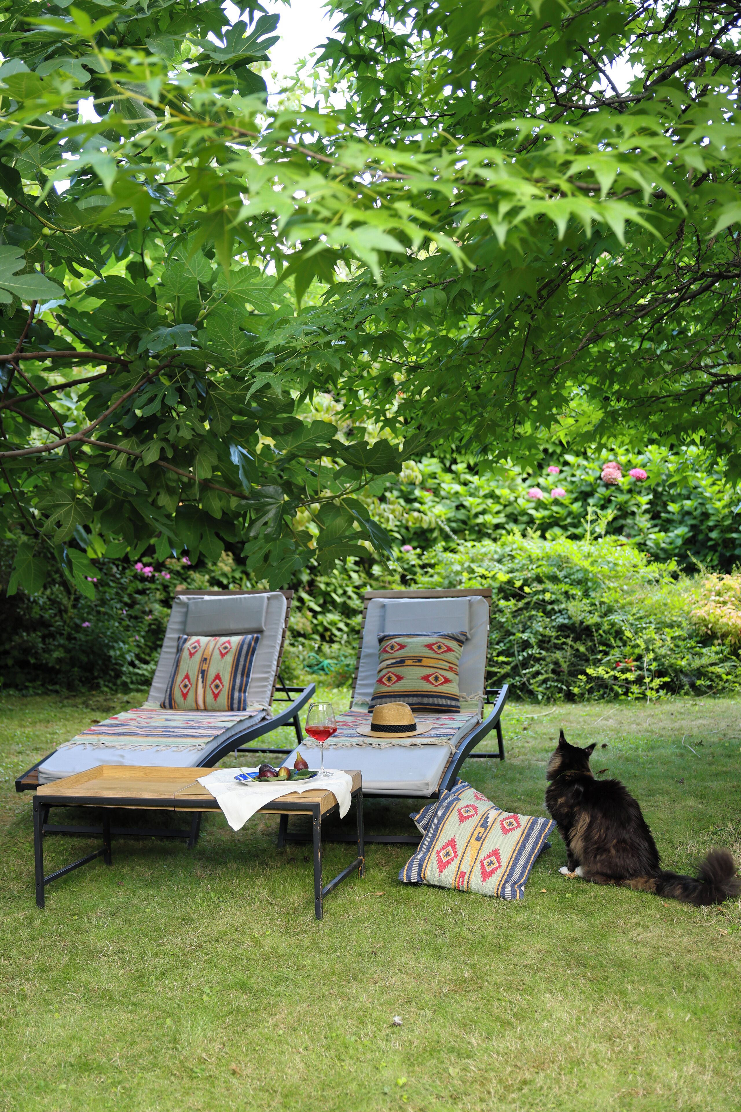 Twee loungestoelen met kussens en een kat op een gazon.