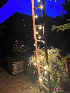 Step into a serene garden oasis, surrounded by lush greenery and vibrant flowers.