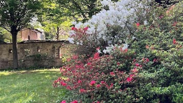 客房, 花園景 | 園景