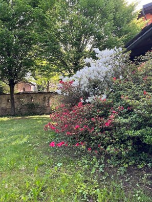Habitació, vistes al jardí | Vista del jardí