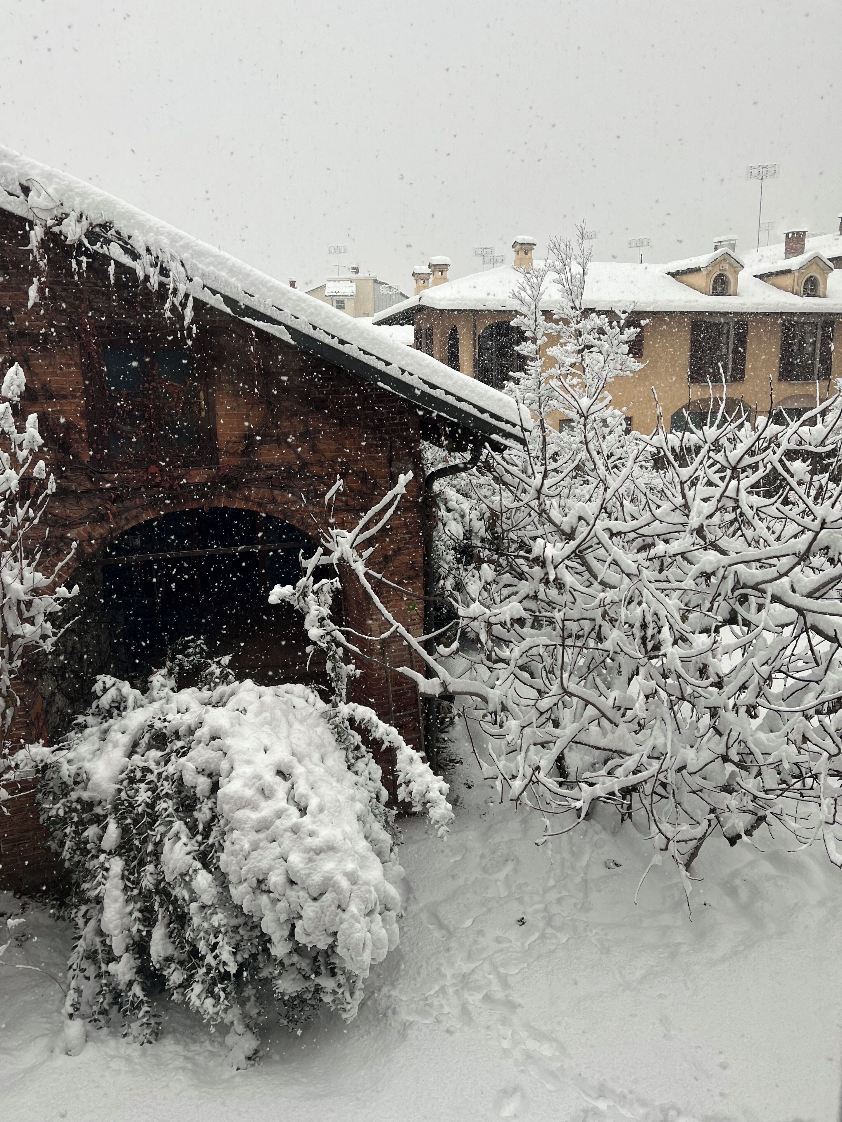 A snow-covered bridge with brick walls and a snow-laden tree in the foreground.