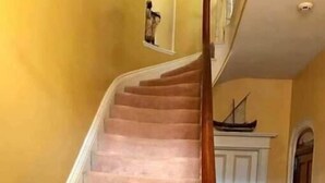 A staircase with carpeted steps and a wooden handrail, leading to a door with a white frame.