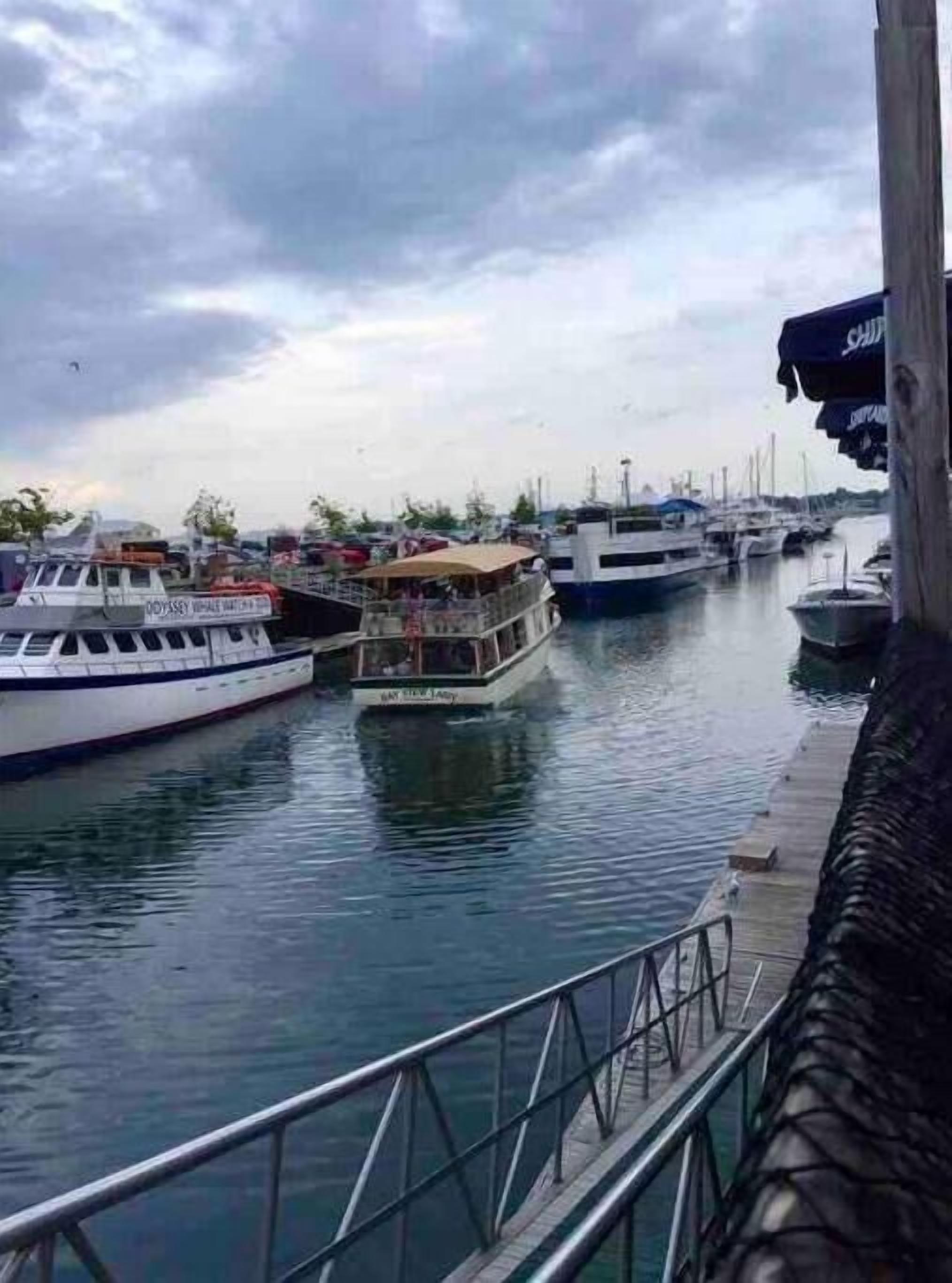 Marina