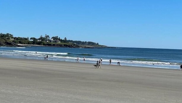 A wide beach with people walking and a few dogs. - Island View House BnB Self Check-In # 4 / Free Off-Street Parking  (Portland)