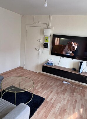 Smart TV, video games - Logement Entier F2 Stade DE France (Saint-Denis)