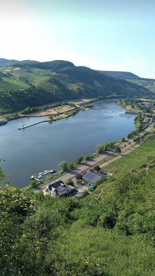 Vista del río con un muelle, barcos y un edificio con paneles solares.