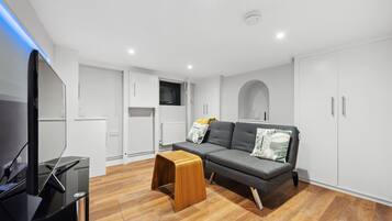 TV, fireplace, DVD player, books