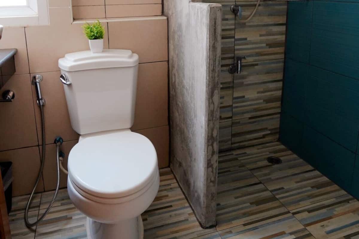 Duş, ücretsiz banyo/kozmetik ürünleri, saç kurutma makinesi, havlu