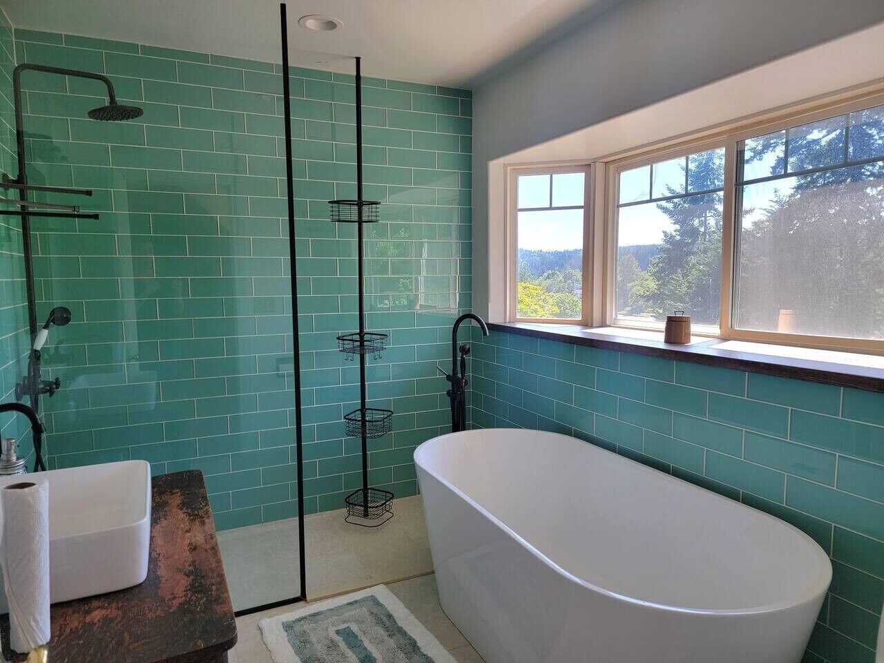 Shower, hair dryer