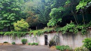 A concrete wall with a small doorway, surrounded by dense greenery and various plants. - Vintage Poulsbo Apartment with Bay views (Poulsbo)