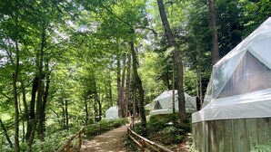 A forested area with a gravel path leading to white tents. - Ala Glamping (Mudurnu)