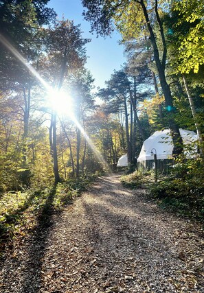 Exterior - Ala Glamping (Mudurnu)