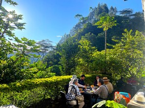 Free daily English breakfast 