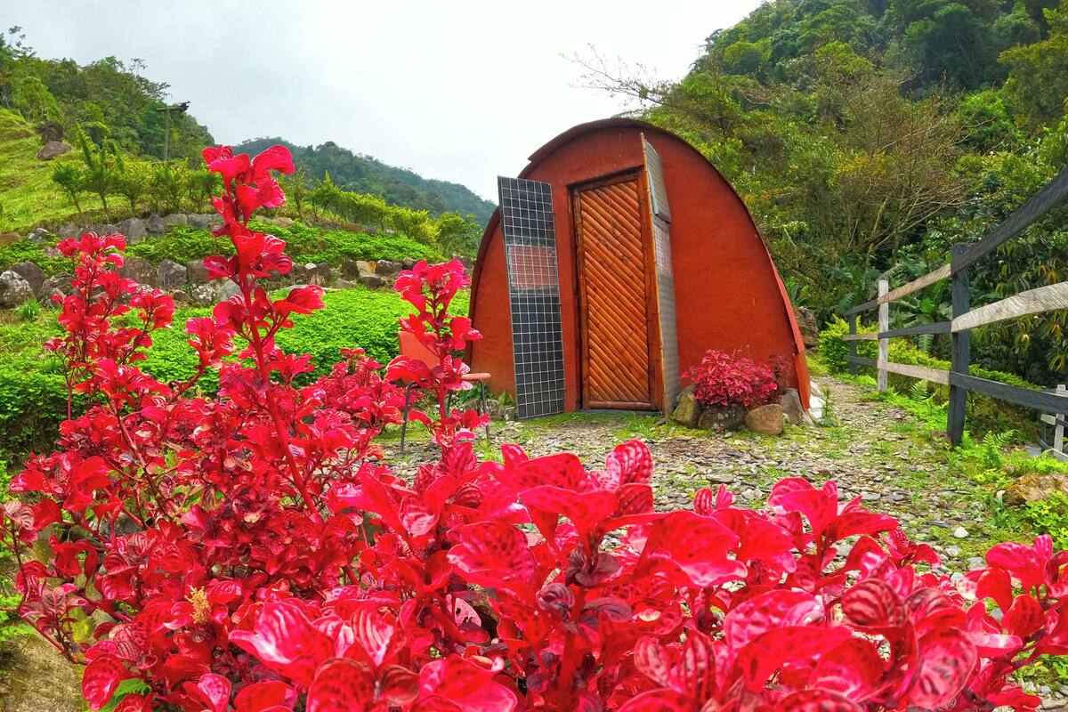 A small, round building with a wooden door and a window, surrounded by lush greenery and red flowers.