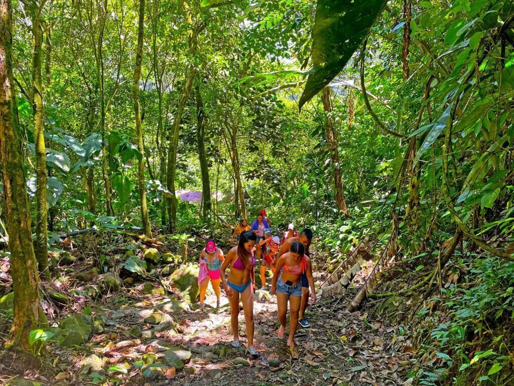 Un grupo de personas caminando por un bosque denso con árboles altos y maleza abundante.