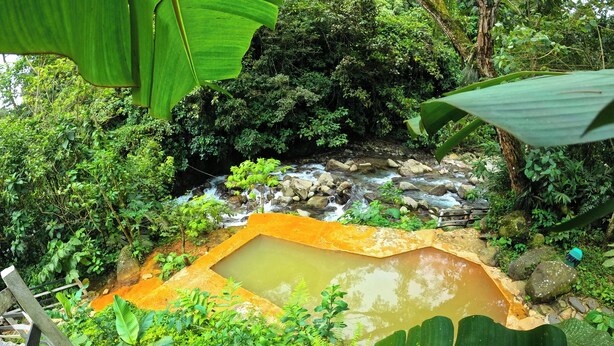 A natural setting with a small stream, a man-made pond, and lush greenery. - Termales El Escondite (Samaná)