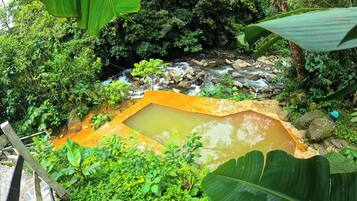 Surrounded by lush greenery, a serene pond and gentle stream create a tranquil atmosphere.