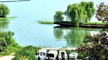 Un fiume tranquillo con barche ormeggiate, un salice piangente e un molo con vegetazione.