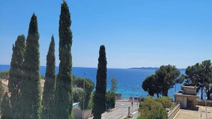 A coastal view with tall cypress trees, a clear blue sky, and a distant view of the sea.