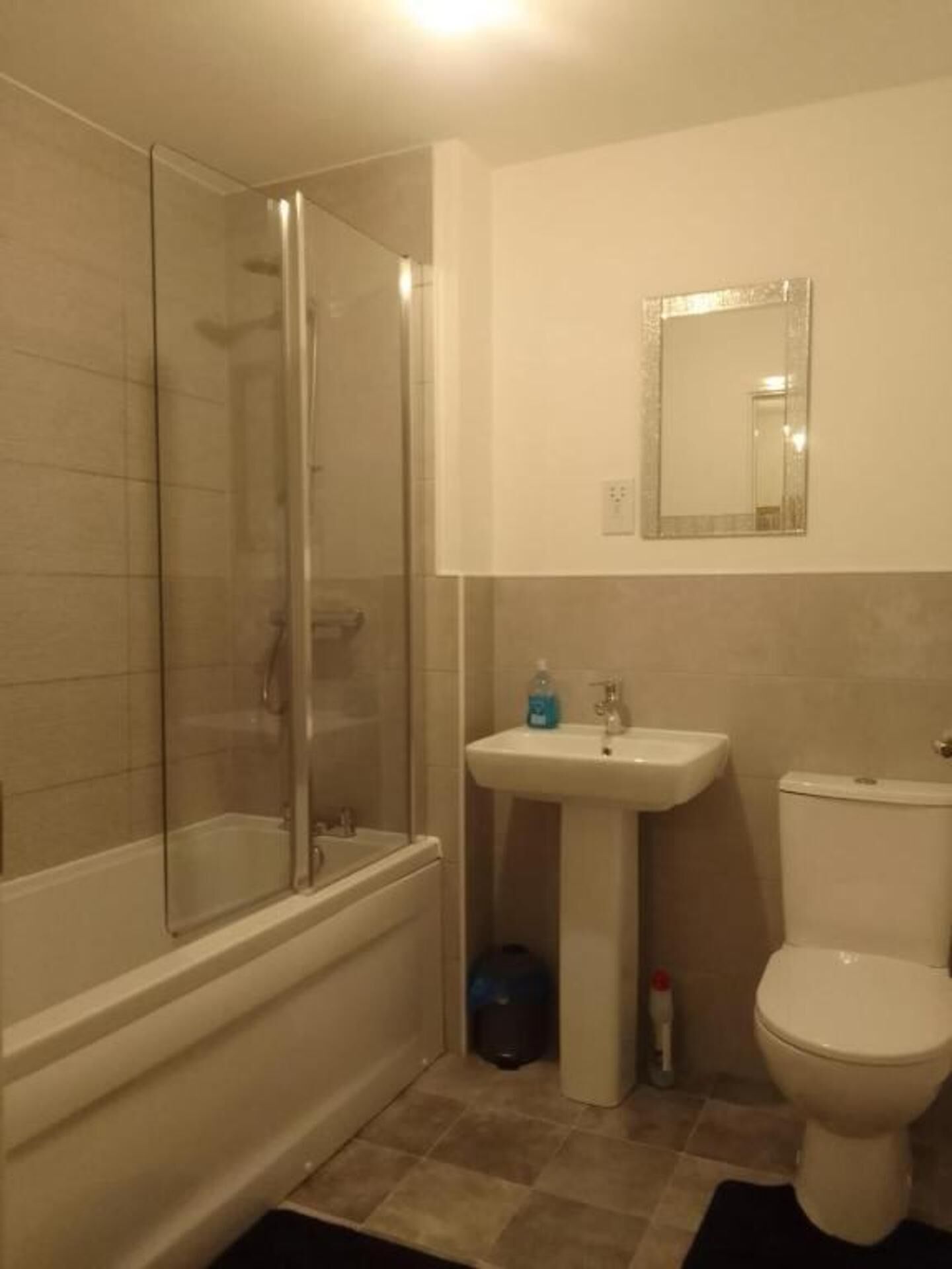 Shower, towels, toilet paper