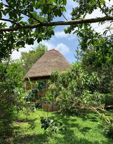 Double Room - Mpanga Nature Center 