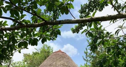 Double Room - Mpanga Nature Center