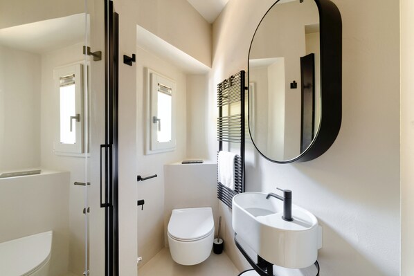 Shower, hair dryer, bidet, towels