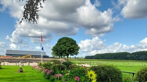 Een goed onderhouden tuin met verschillende bloemen en een grote boom.