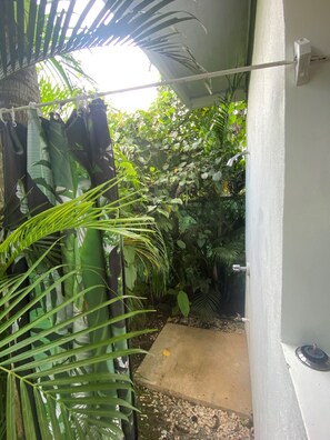 Property grounds - Jungle Casita with bathtub, outdoor shower and kitchen (Limón)