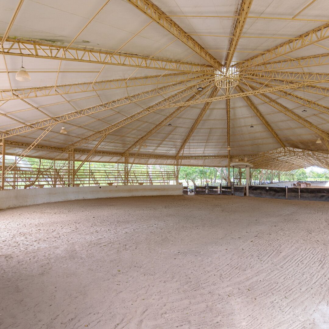 Un espacio interior amplio y abierto con un techo alto sostenido por una estructura metálica.
