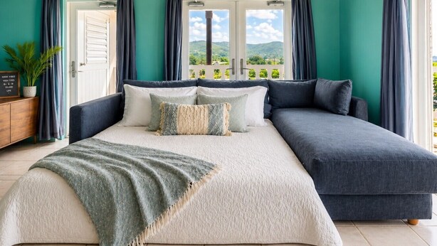 A bedroom with a bed, a sofa, a view of the outdoors, and a plant.