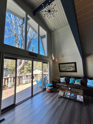 Smart TV, fireplace, books, stereo