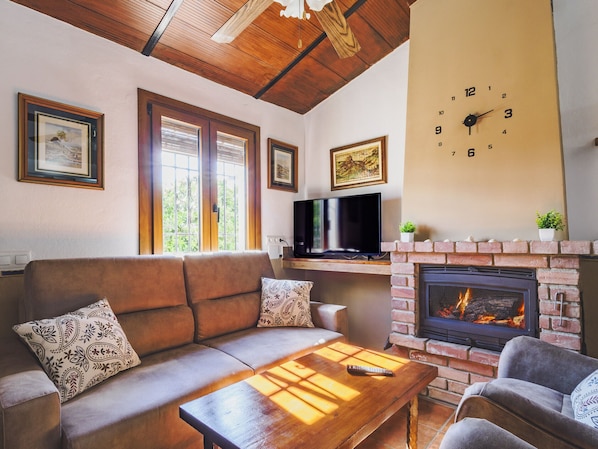 TV, fireplace