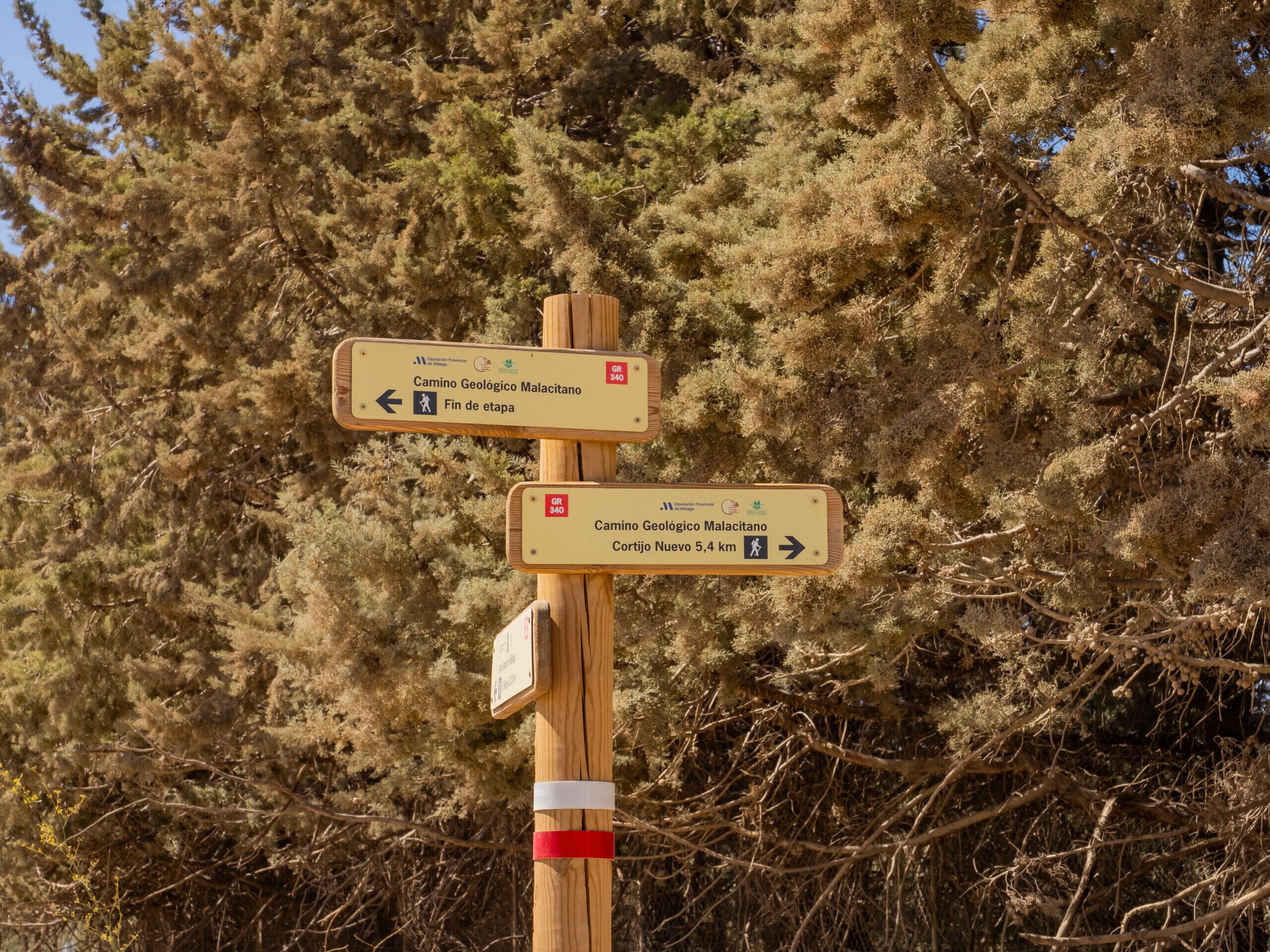 A wooden signpost with directional arrows and text indicating trails and distances.