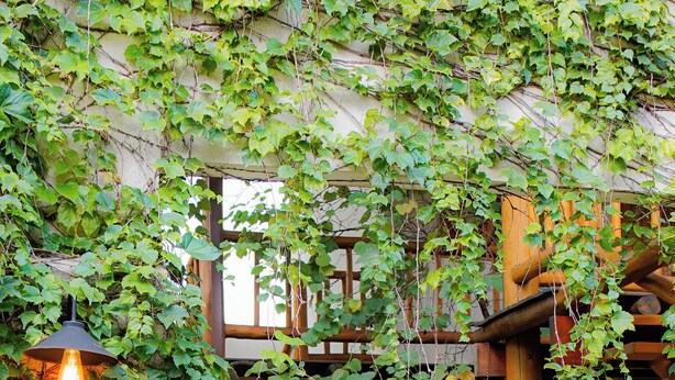 A covered outdoor area with a cobblestone path, wooden structures, and lush greenery. - Pousada Caraíba (Rifaina)