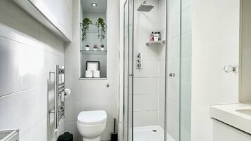 Eco-friendly toiletries, hair dryer, towels