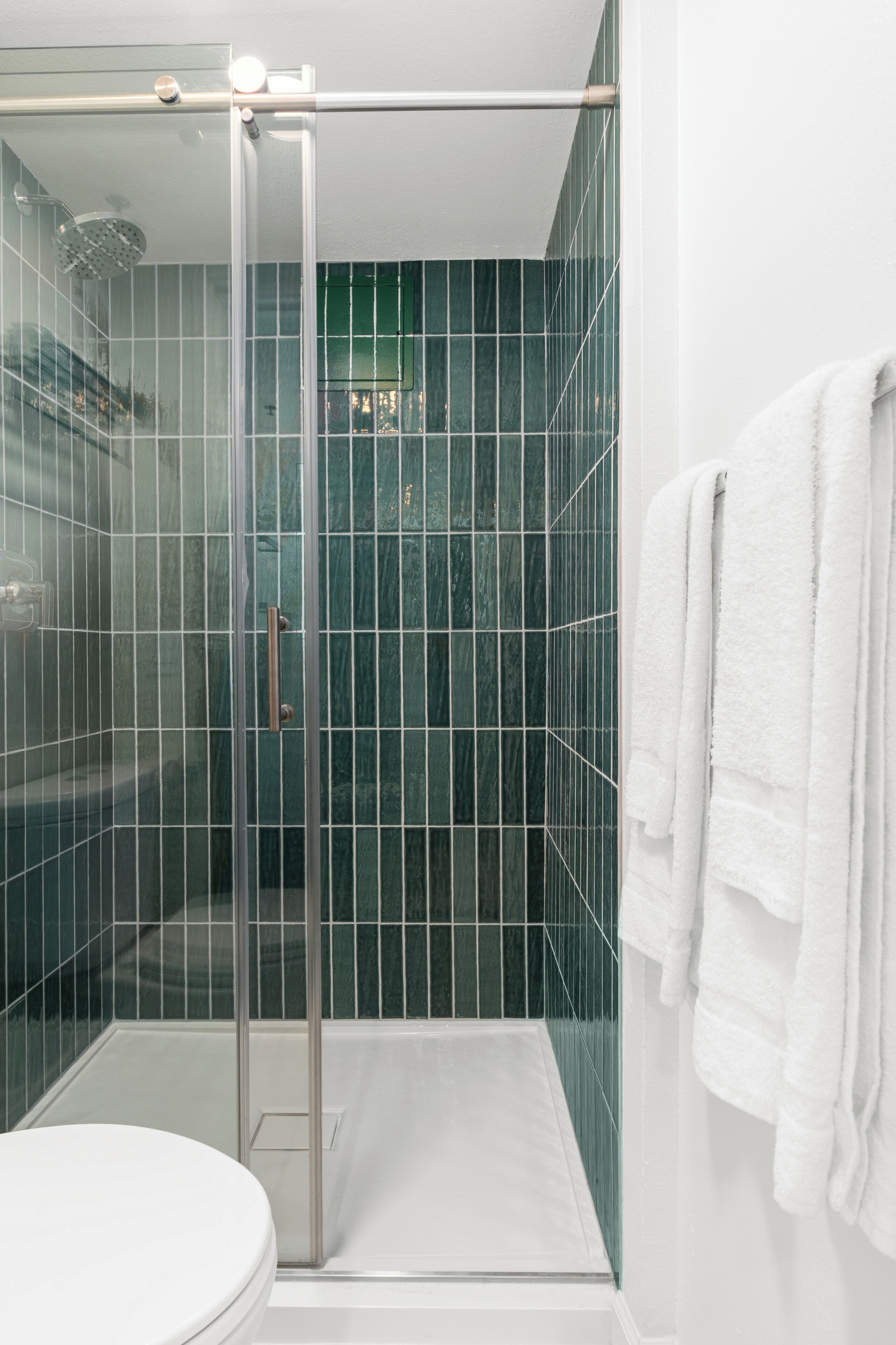 A bathroom with a glass shower enclosure, a white toilet, and a towel rack.