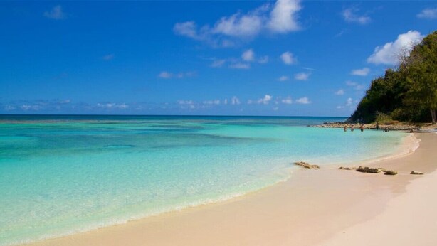 A beach with clear turquoise water, a sandy shore, and a few people in the distance.