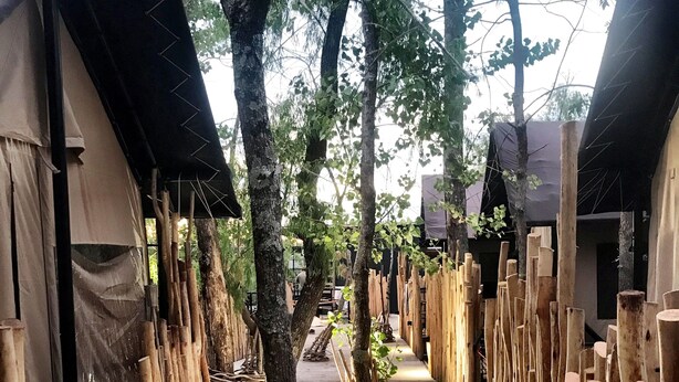 A corridor lined with wooden structures and tents, suggesting a rustic or nature-themed accommodation setting. - Refugio 31 (Partido de Tigre)