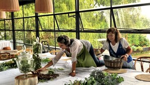 Two people arranging greenery on a table under a large window with a view of trees. - Refugio 31 (Partido de Tigre)